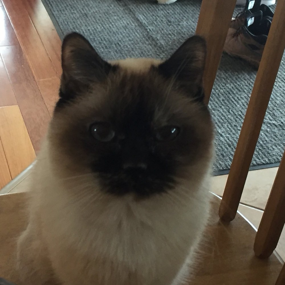 Meet your Posher, Gj